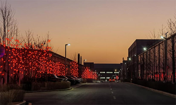 张灯结彩迎新年 亮化装扮美园区